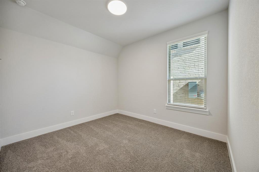 Painted Tree - Residential