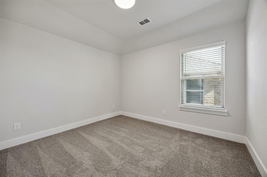 Painted Tree - Residential