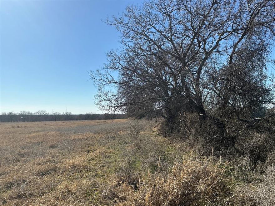 Escape the noise and step into wide-open Texas living on 13.29 acres just outside of Comanche. This beautiful tract of coastal hay offers rich, productive soil ideal for grazing, farming, or creating the homestead you’ve been dreaming of. Fully fenced and ready for horses, cattle, or other livestock, the land provides both function and freedom.
A private well is already in place, making the transition to country life even easier, with convenient access to utilities for a future home or weekend retreat. Whether you envision peaceful mornings, room to roam, or a quiet getaway where time slows down, this serene property offers the perfect balance of productivity and tranquility—all within minutes of town.