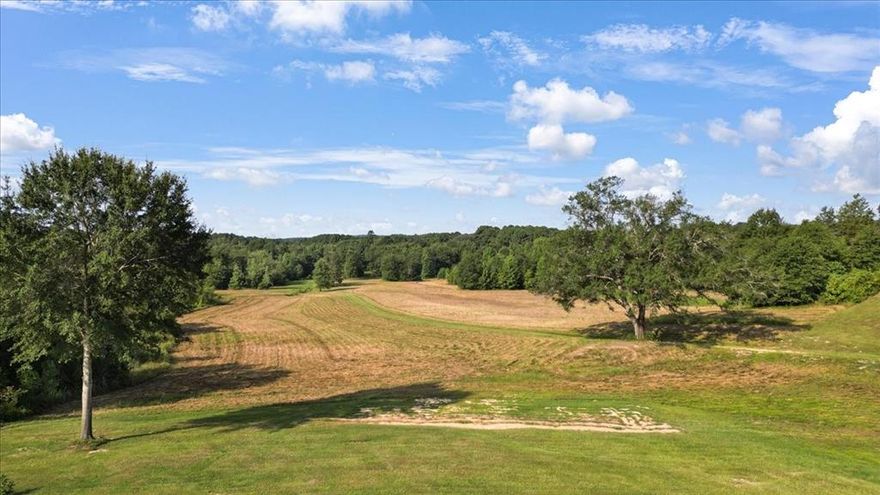 32+- acres that would make an ideal home-place! Located off one of the prettiest FM roads in East Texas and surrounded by rolling hills. There is a prime build spot already in place at the front of the property (mobile home and outbuildings to be removed). This property has several other spots tucked into the woods that with some clearing could make a stunning view from a hilltop. There are several live springs and creeks as well so if you are looking for a place to build a lake you've found it! Countless deer have also been spotted on the property and several trails are already cleared so this is truly the place for all of your recreational dreams!