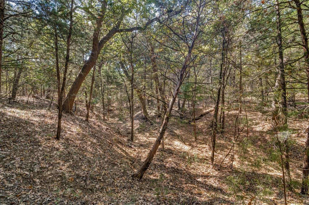 The Woods At Richland Chamb - Land