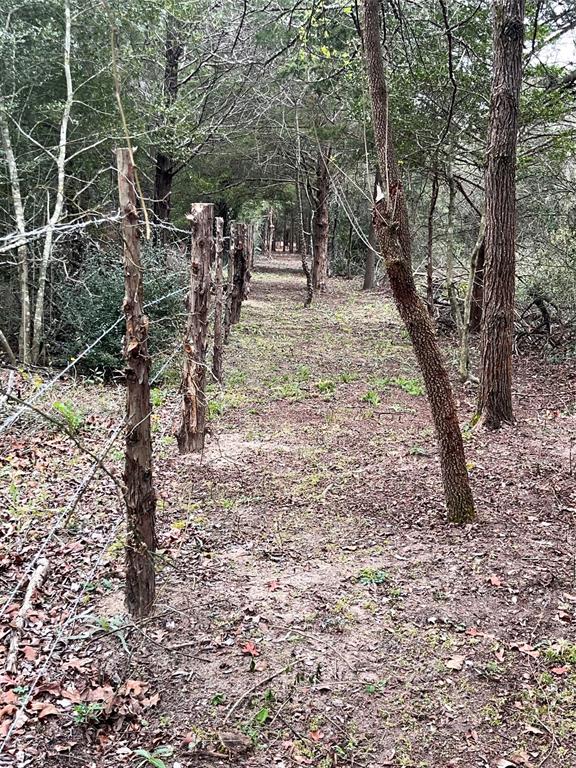 WESTWOOD - H SHEPHERD A-34 - Residential