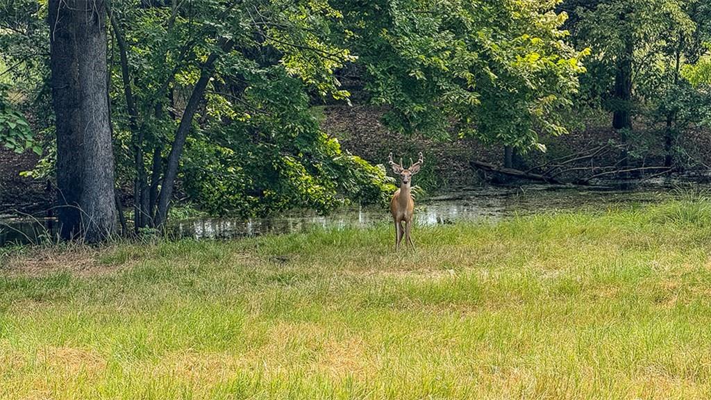 Kay Estate - Residential