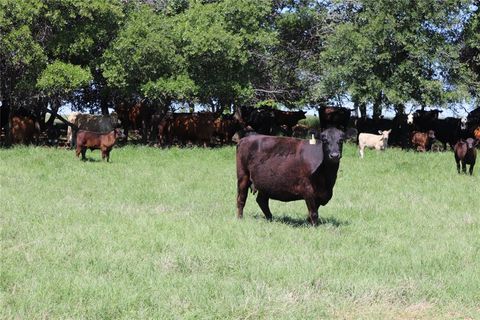 293 Acres Deer Creek Rd Henrietta TX 76365
