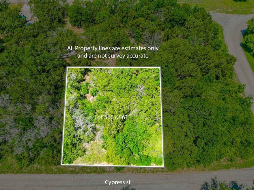 Two beautiful lots (560 and 561)are available in the great community of Oak trail shores. Community is located
minutes away from the center of Granbury and minutes from the shopping centers. These beautiful lots are next to
each other. Oak trail shore is a growing community and new houses are getting built in this community! you can either
put a mobile home or bring your own builder to build your dream home! Come and see these lots while they are
available!!