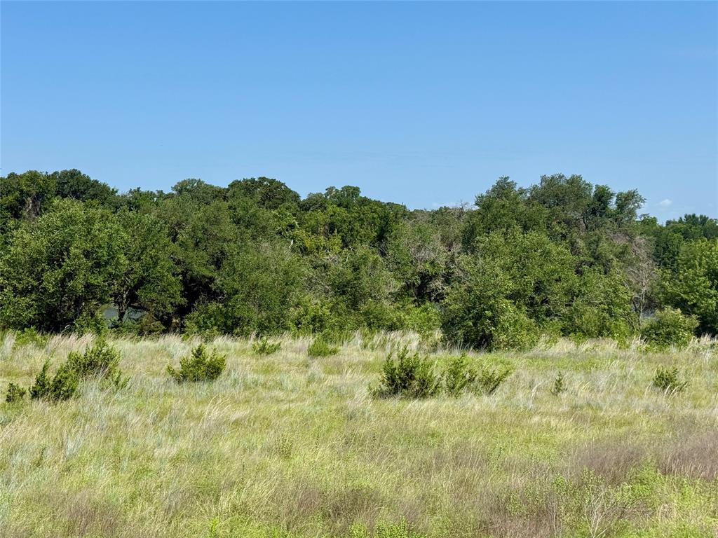 Sunrise Mountain - Land