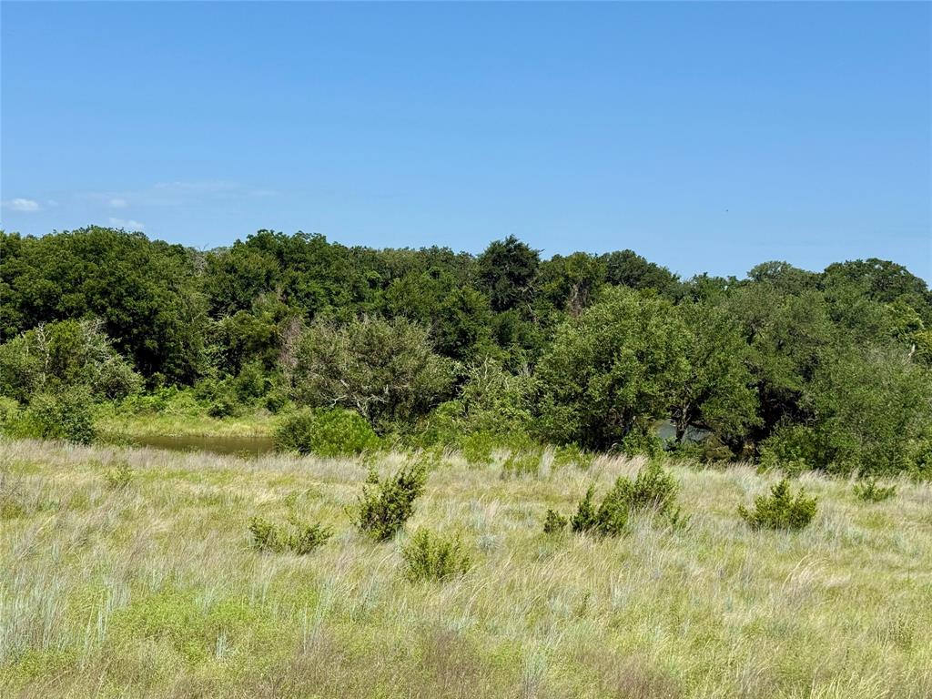 Sunrise Mountain - Land