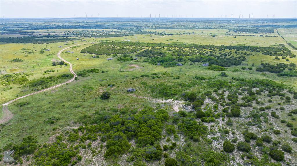 3402 County Road 196