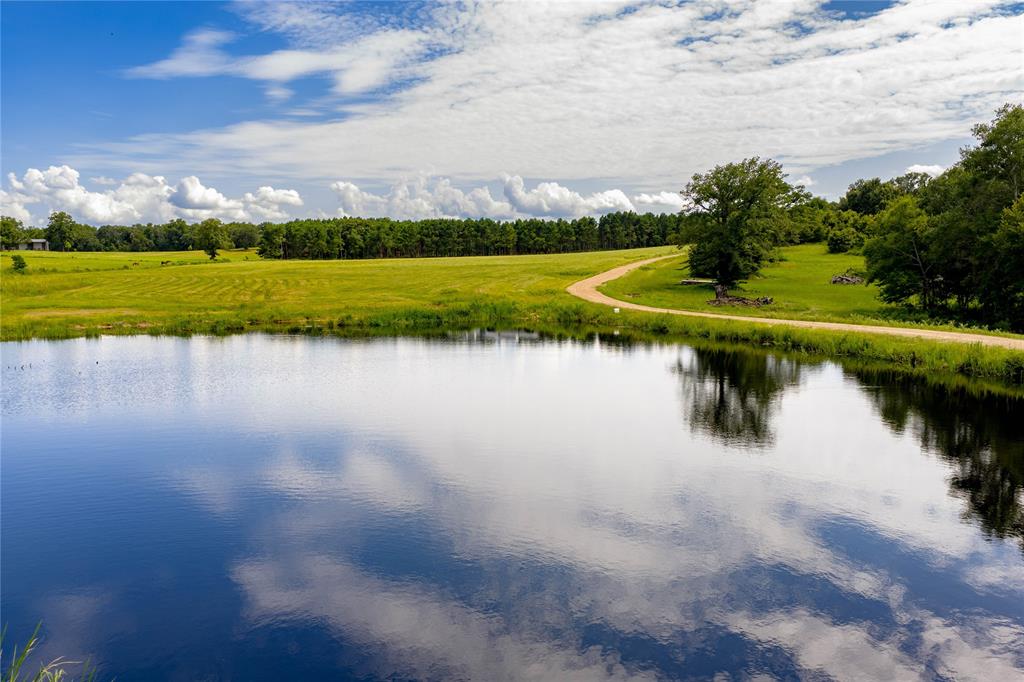 Charles Riley Surv A-688 - Land