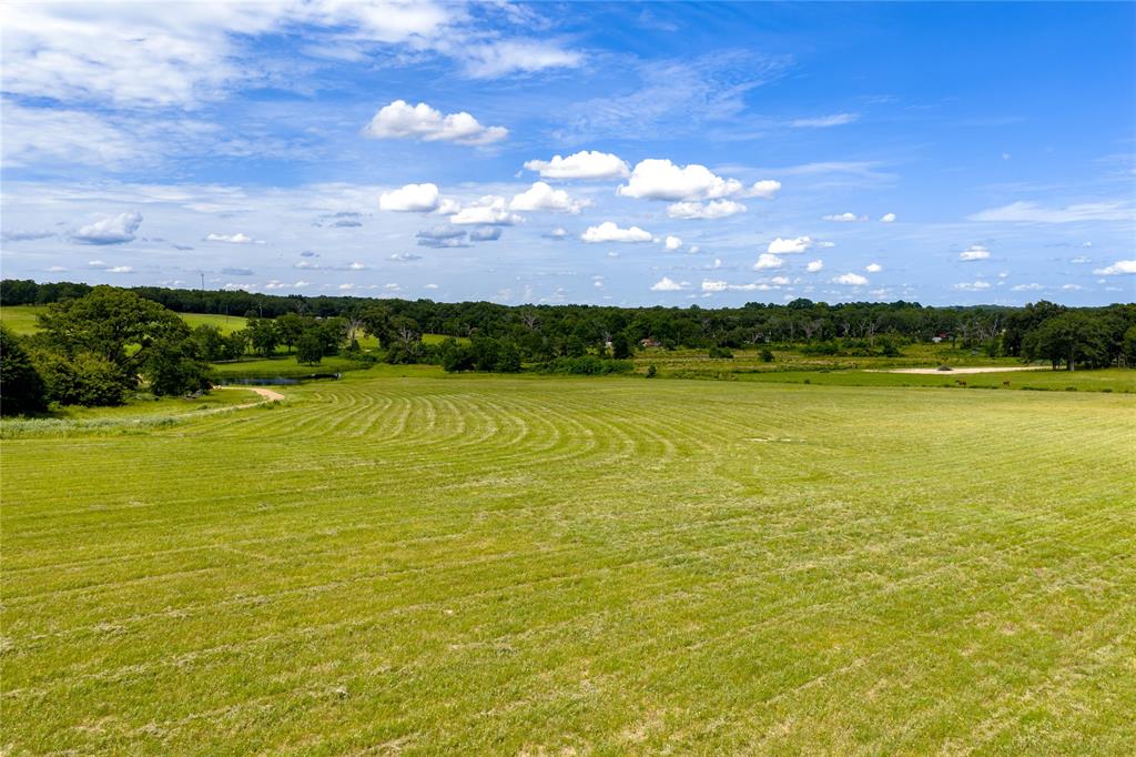 Charles Riley Surv A-688 - Land