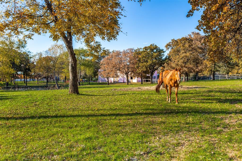 3521 Sentinel Oak Road