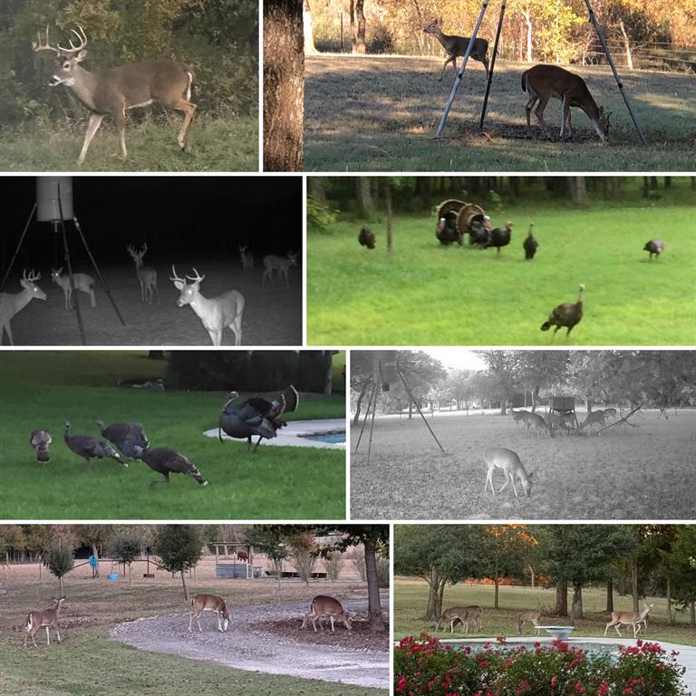 NOLAN RIVER ESTATES PH2R2 - Residential