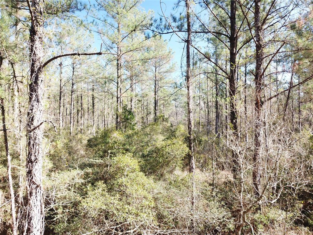 Outside City Limits - Land