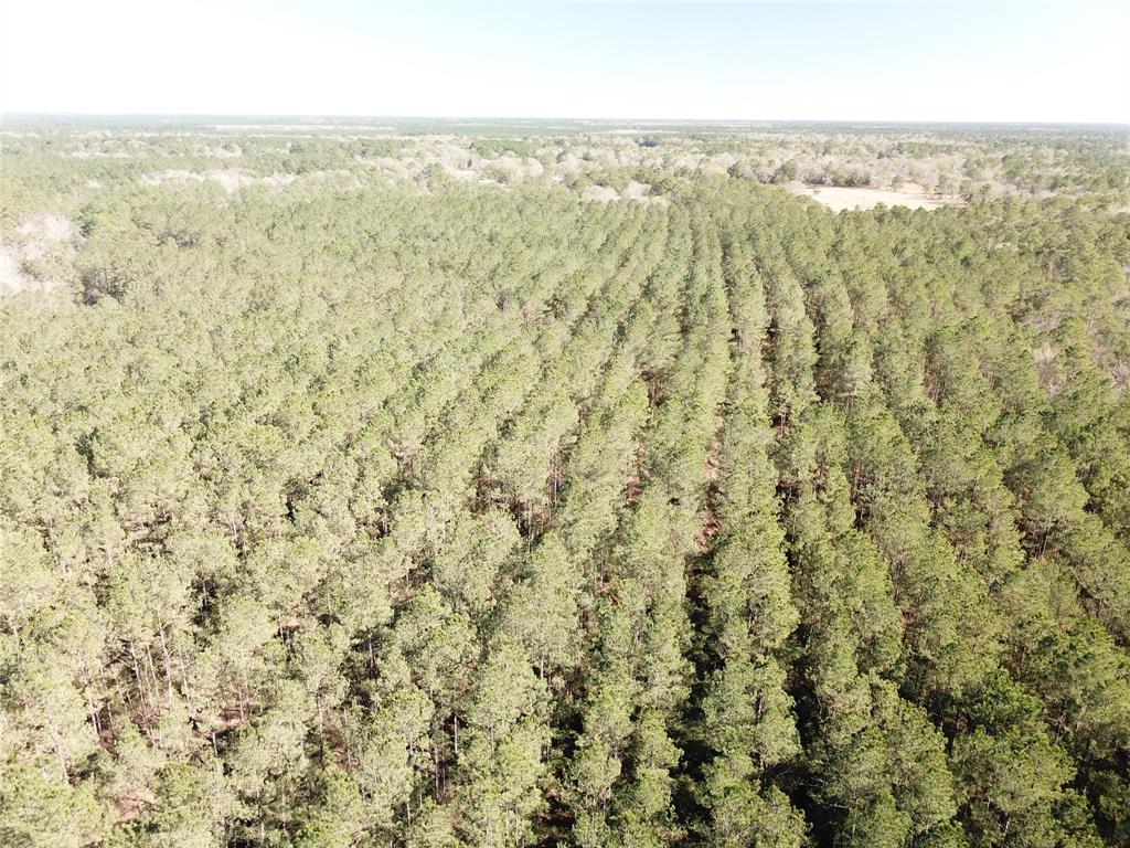 Outside City Limits - Land