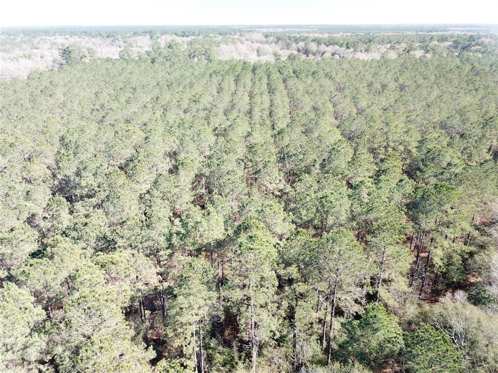 Outside City Limits - Land