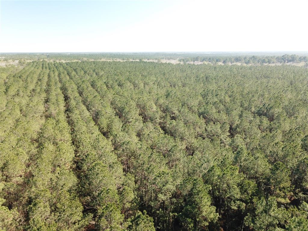 Outside City Limits - Land