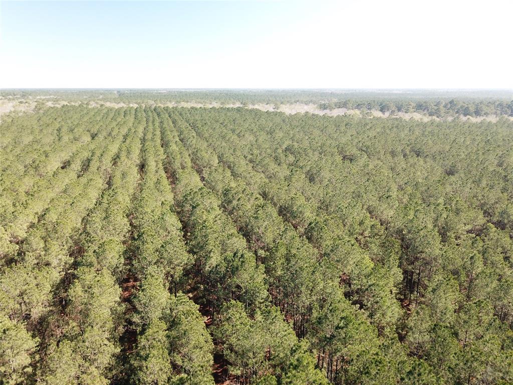 Outside City Limits - Land