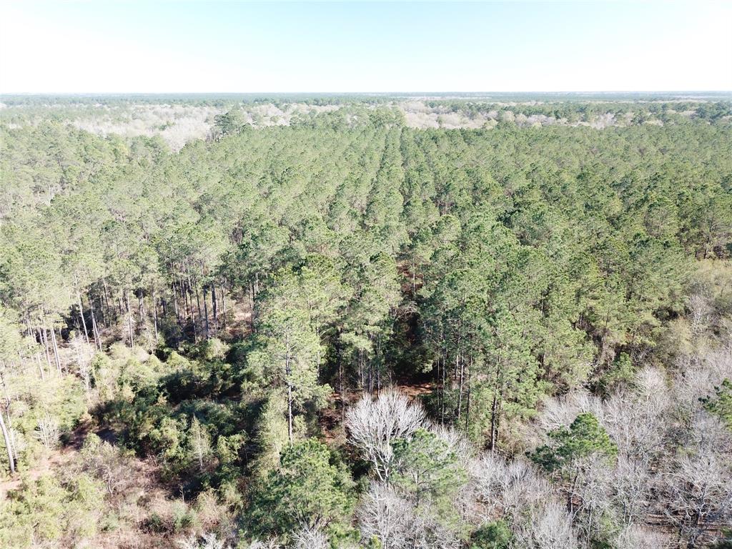 Outside City Limits - Land