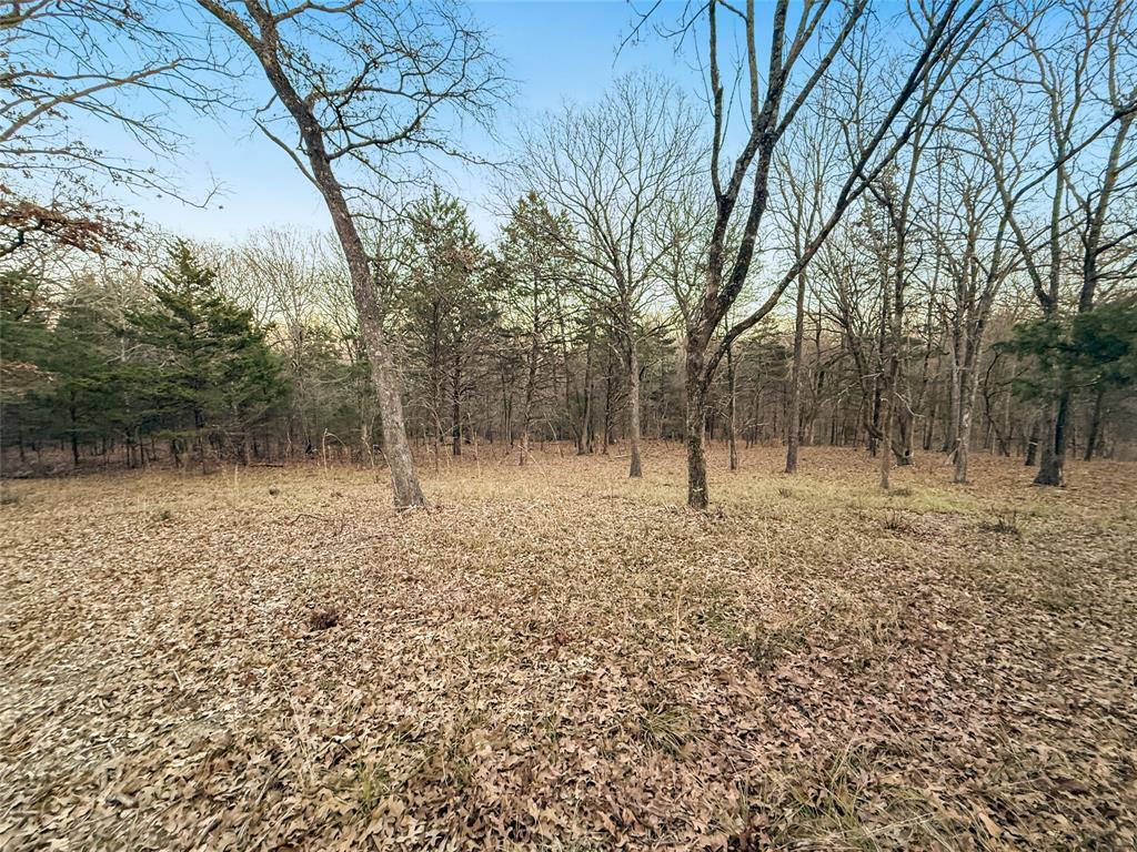 Buffalo Hunter Hills #1 - Land