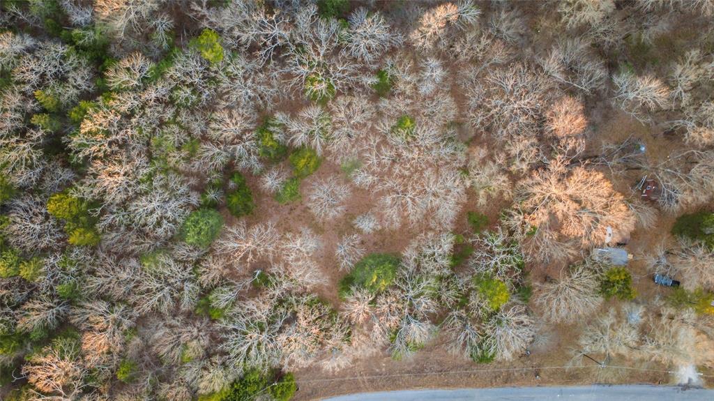 Buffalo Hunter Hills #1 - Land