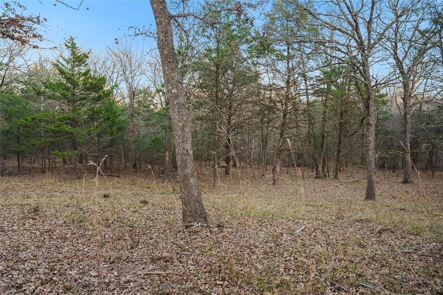INCREDIBLE, STUNNING LOCATION!! BOTH Lake Tawokoni and Lake Fork boat ramps are less than 10 miles from your new homesite! Also, less than 3 miles from Rains ISD! And with NO restrictions, this lot on 0.7 + - acres is the perfect slate for you to build your dream home or getaway home. With gorgeous mature woods and trees surrounding your home, you'll feel like you're in the middle of nowhere with the convenience of being minutes from amenities, restaurants, and easy access to the Hwy. Making it practical, but with a view. This is the perfect, authentic opportunity to create your private retreat!