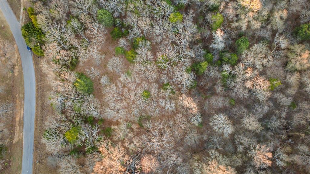 Buffalo Hunter Hills #1 - Land