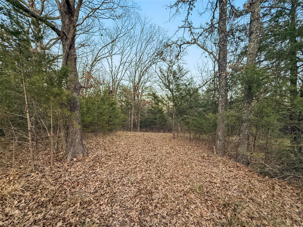 Buffalo Hunter Hills #1 - Land