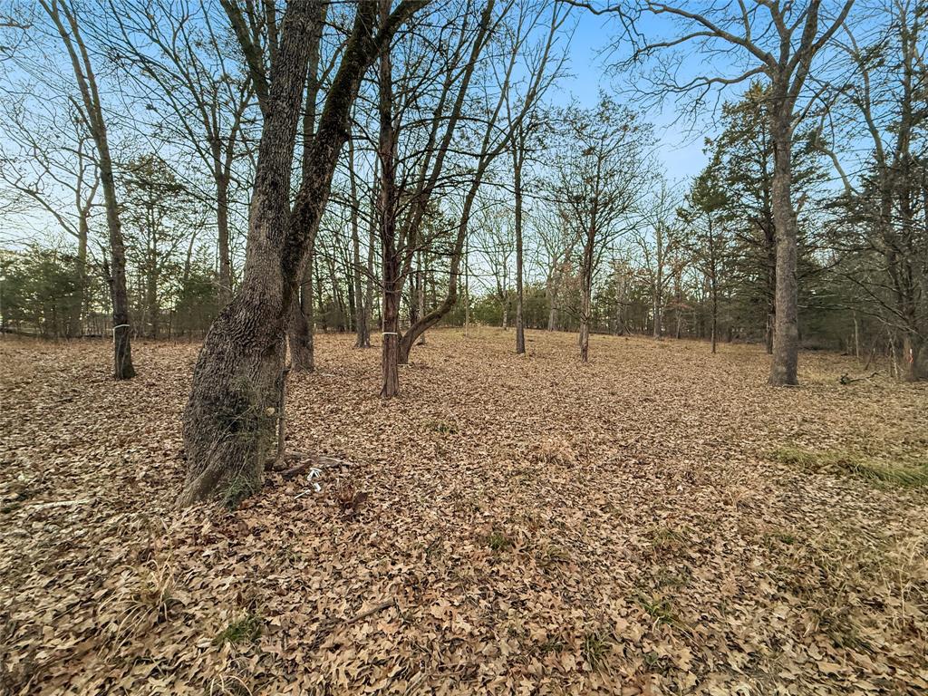 Buffalo Hunter Hills #1 - Land