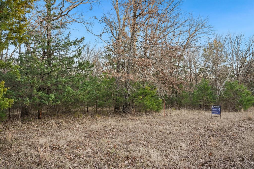 290 Rs County Road 4254