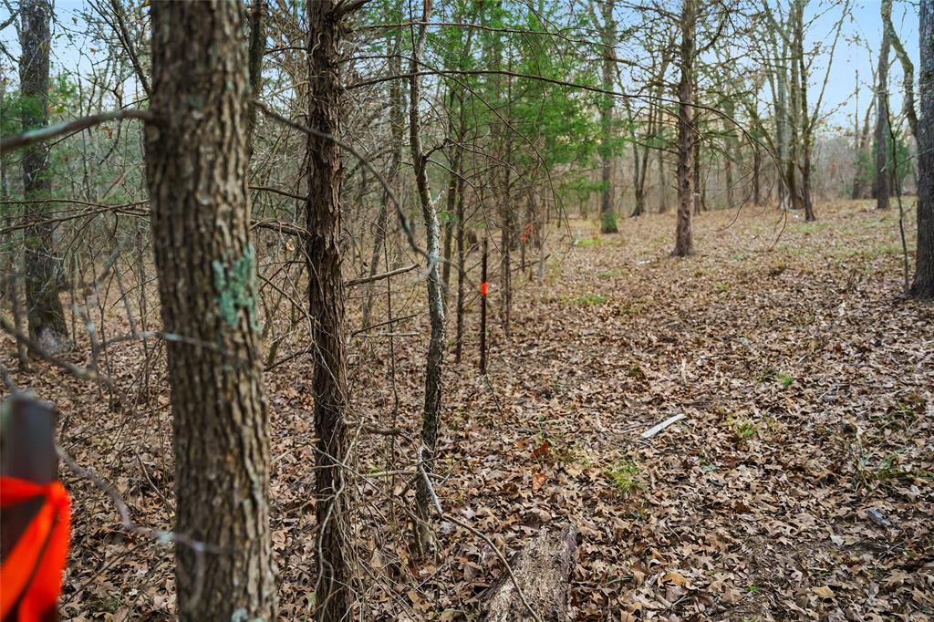 Buffalo Hunter Hills #1 - Land