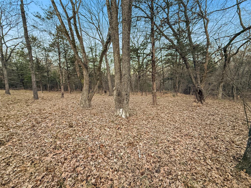 Buffalo Hunter Hills #1 - Land