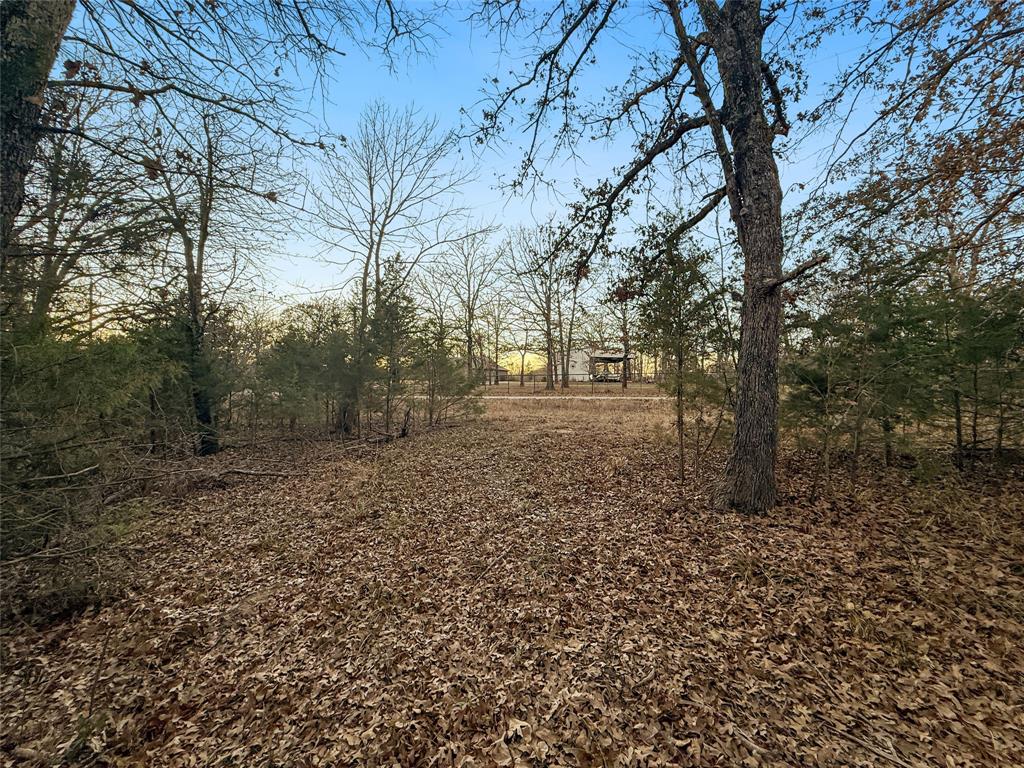 Buffalo Hunter Hills #1 - Land