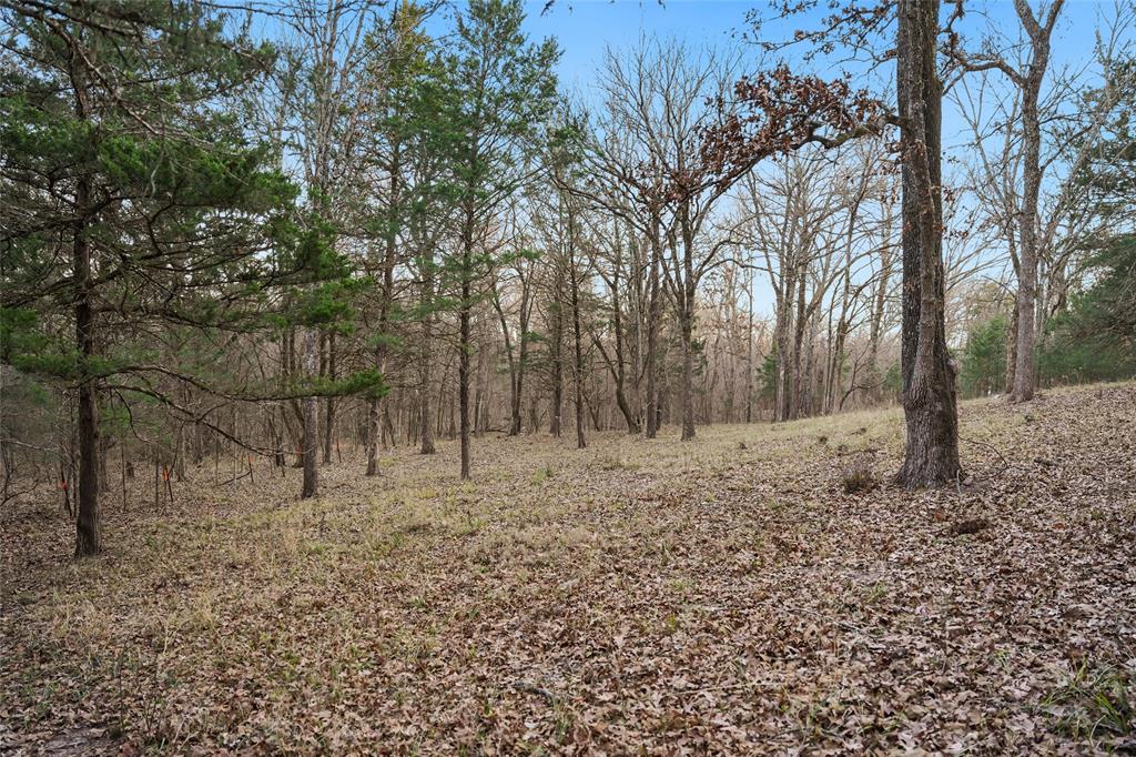 Buffalo Hunter Hills #1 - Land