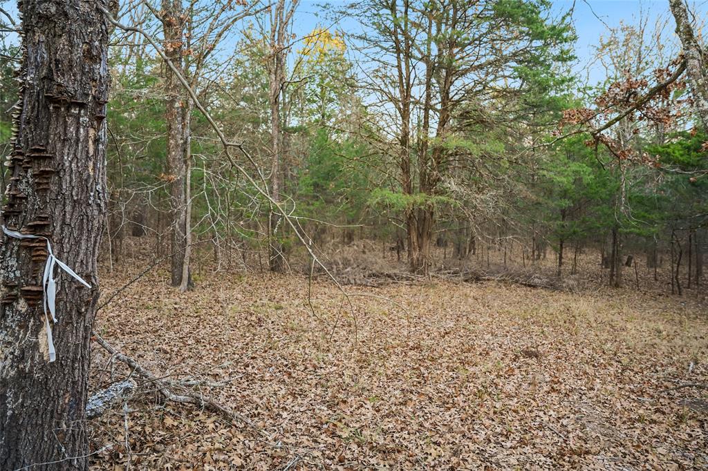 Buffalo Hunter Hills #1 - Land