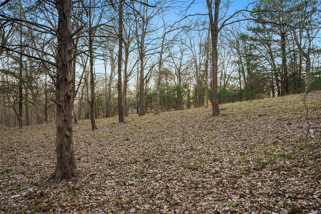 Buffalo Hunter Hills #1 - Land