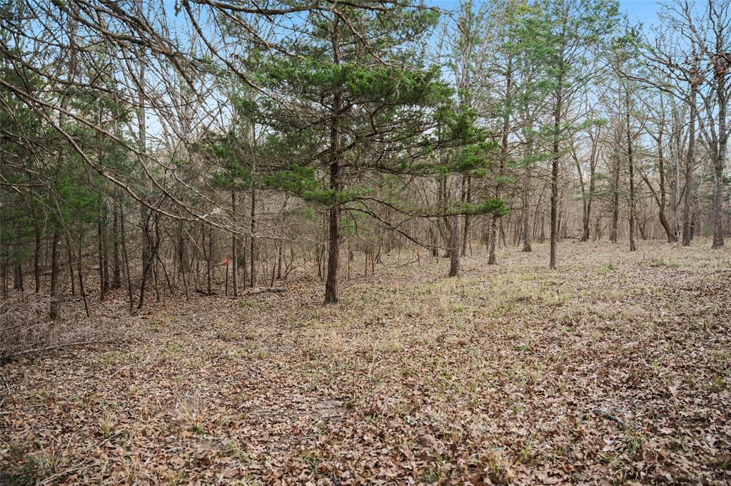 Buffalo Hunter Hills #1 - Land