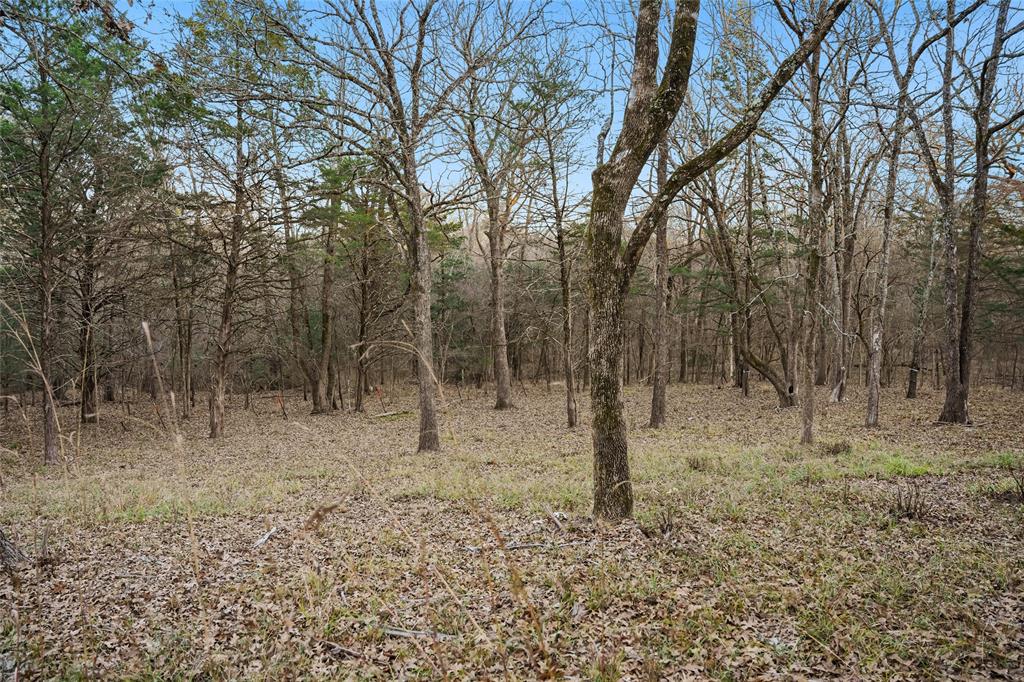 Buffalo Hunter Hills #1 - Land