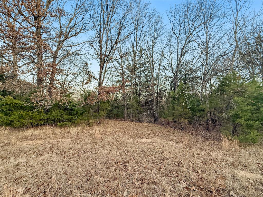 Buffalo Hunter Hills #1 - Land