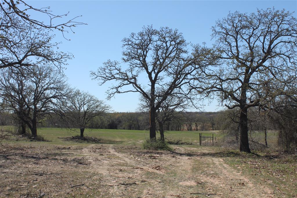 Three Skillet Ranch - Land