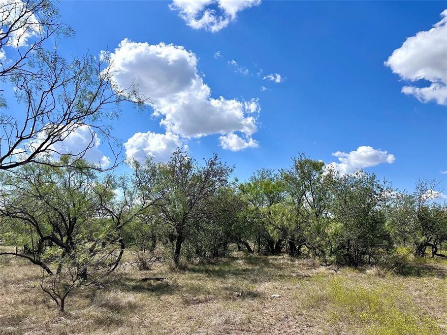 Discover the perfect blend of privacy, convenience, and natural beauty with this 19-acre tract located just 15 minutes from Abilene. Situated near Lake Fort Phantom Hill, an AI facility, and a major data center, this property offers an excellent opportunity for a private homesite, recreational retreat, or small ranch.  One of four tracts recently subdivided, this parcel features easy access via a county-maintained road, with a Hamby water line along the north side and a water meter available. Electricity is readily accessible along the road frontage.  
The land is partially wooded, with a mix of Mesquite, Oak, shinnery, and hackberry providing ideal cover for deer, turkey, and other native wildlife. Native grasses throughout support livestock grazing, and the southern portion of the property offers a slight elevation—ideal for a secluded homesite with scenic views. Deed restrictions are in place to protect your investment, including no mobile homes and no further subdividing into parcels smaller than 10 acres. Additional acreage is available if more space is desired.  
Enjoy peaceful country living just minutes from Abilene’s shopping, dining, and educational amenities—truly the best of both worlds.