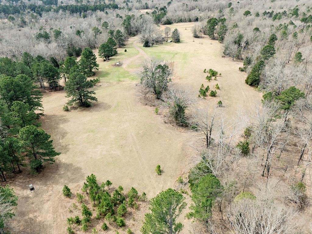 Aniseta Lumbrera Surv A 3 - Land