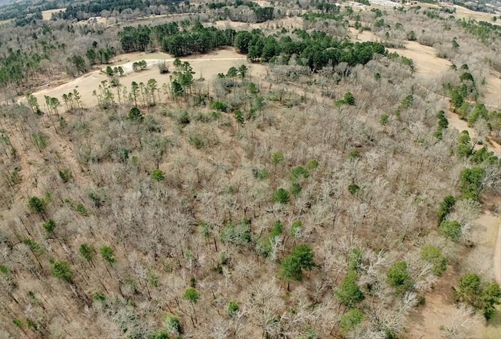 Aniseta Lumbrera Surv A 3 - Land