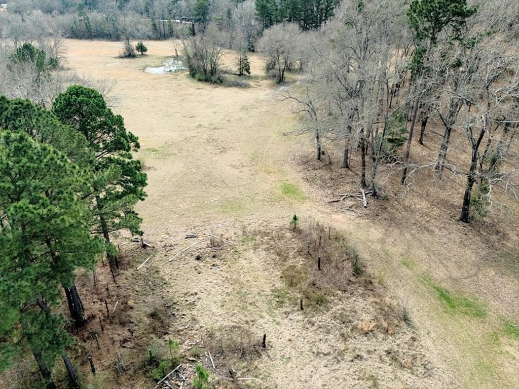 Aniseta Lumbrera Surv A 3 - Land