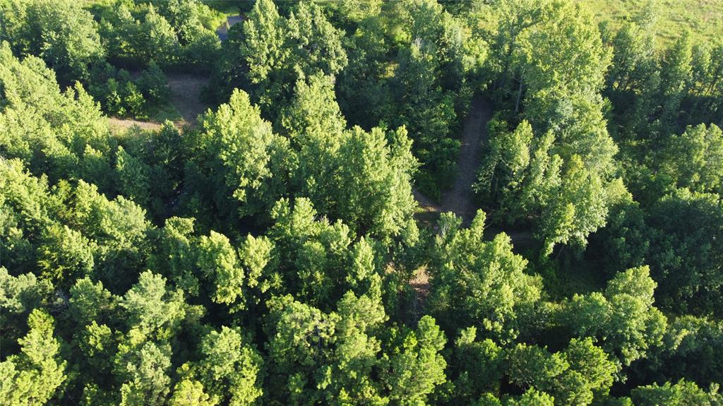 King G.B. - Residential