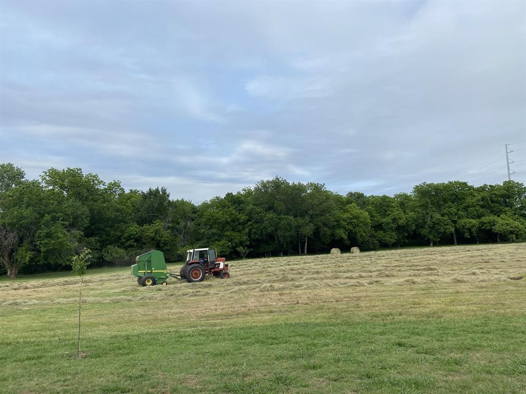 D Van Winkle Survey - Land