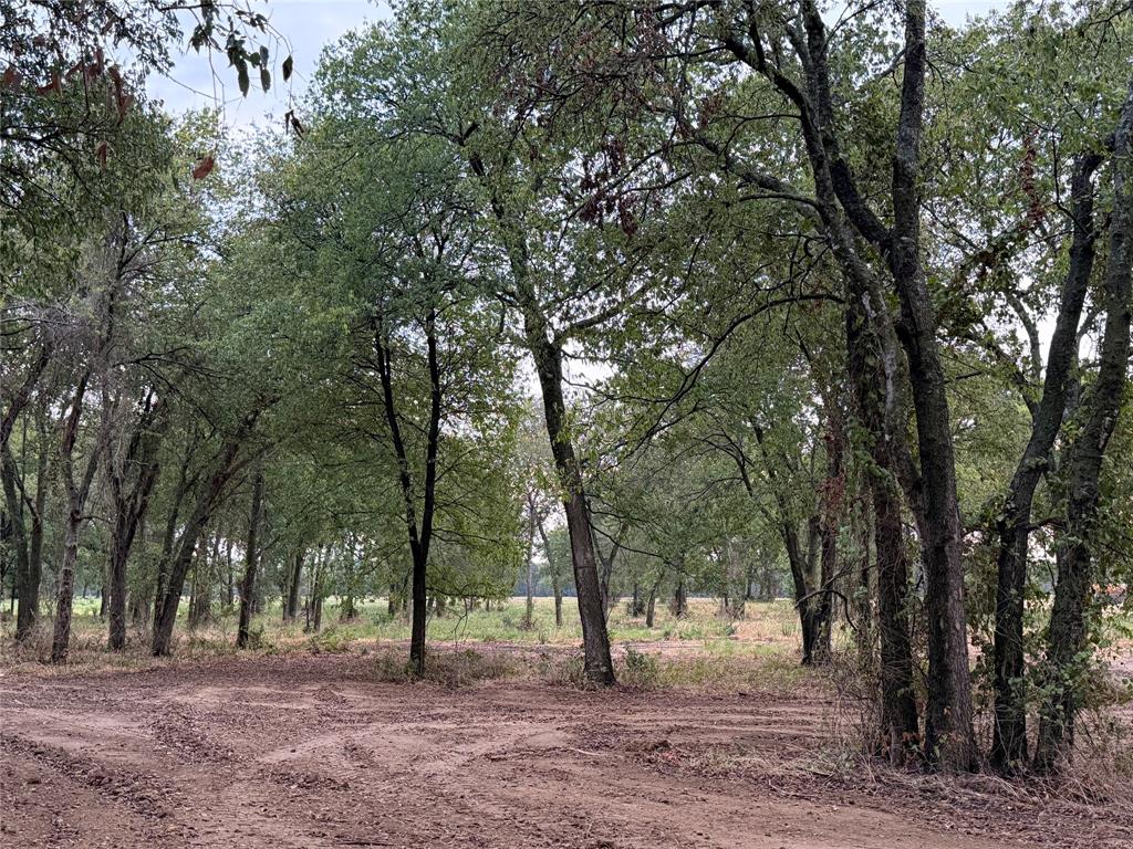 4808 County Road 707