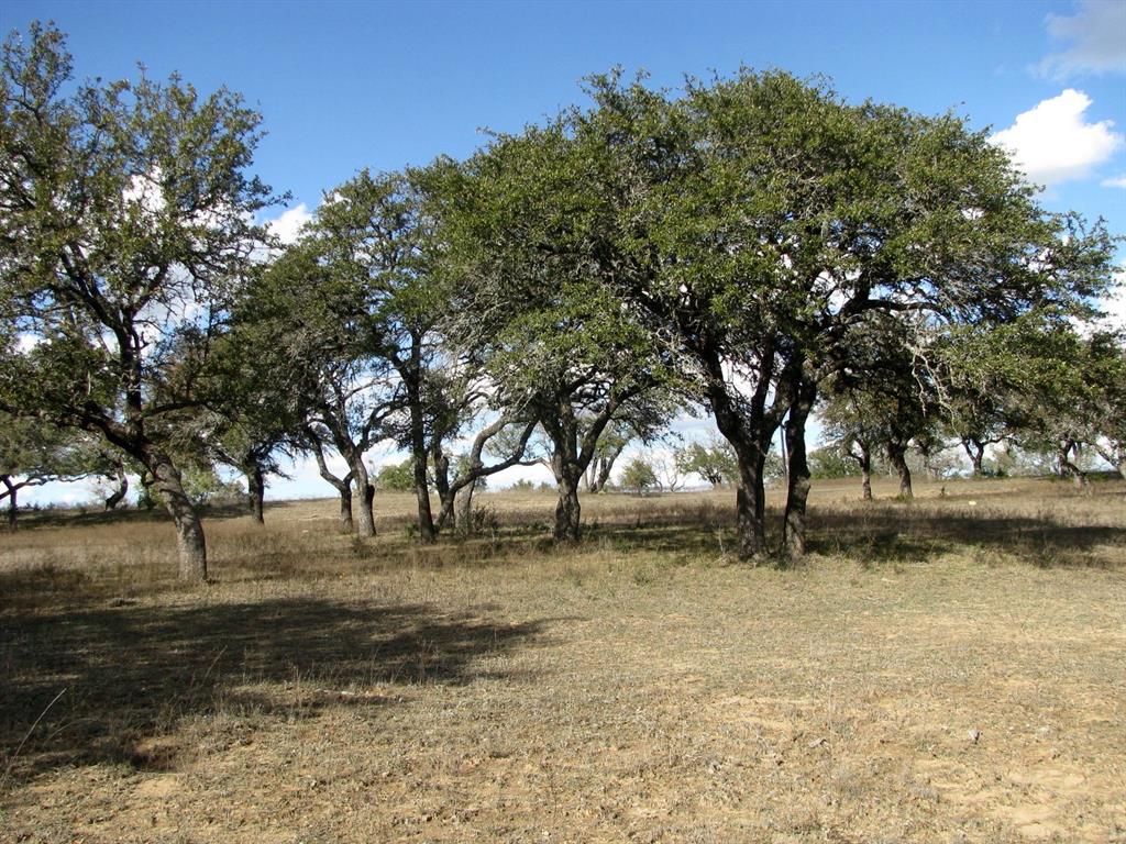 Buffalo Crk Ranch - Land