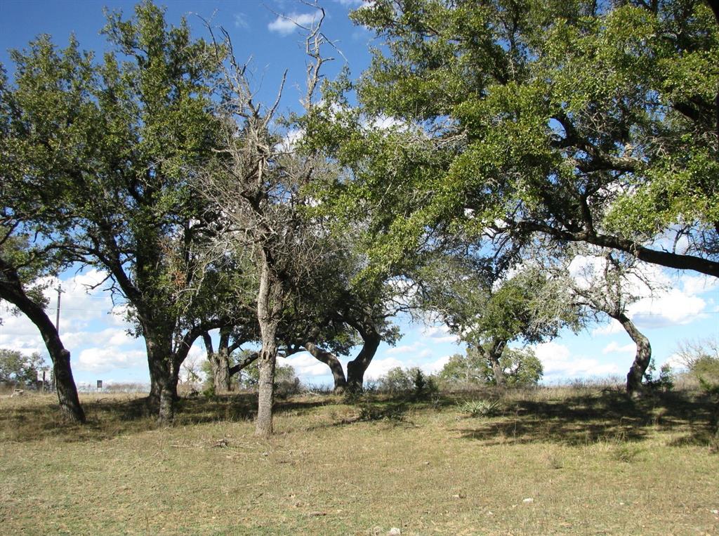 Buffalo Crk Ranch - Land