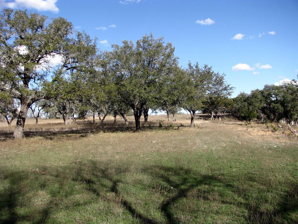 Buffalo Crk Ranch - Land