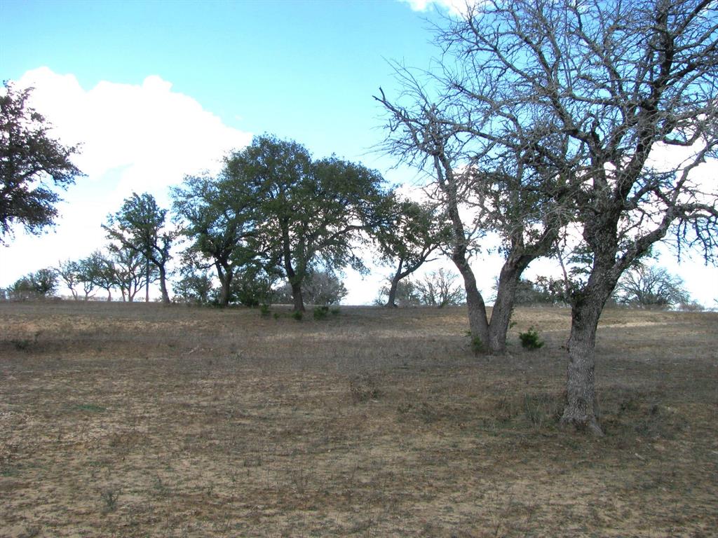 Buffalo Crk Ranch - Land